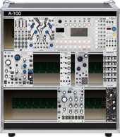 A-100 Case