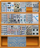Buchla 18U + 223e for Audiovisual