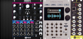 My dovelike Eurorack