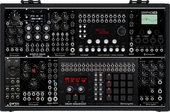 My piebald Eurorack