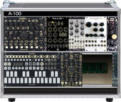 NEW Kees Jr. 4