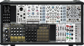 feral rite modular