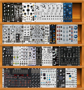 My double mantis Eurorack