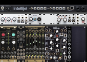 bb eurorack intellijel🖤 (copy)