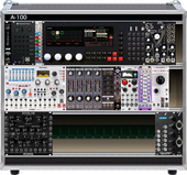 Analog Beast (copy)