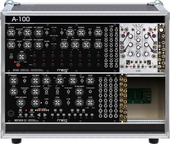 My finny Eurorack