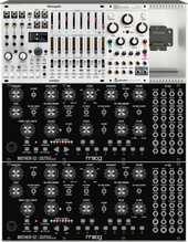 My corvine Eurorack