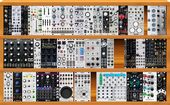 pitt system