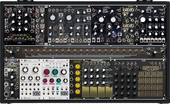 Shared System Limited Black &amp; Gold