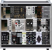 big case