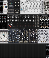 My whiskered Eurorack