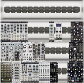 My labroid Eurorack (copy)