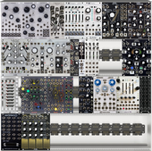 My bivalve Eurorack (copy)