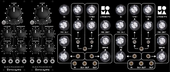 My knuckly Eurorack