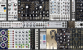 Goldie Intellijel (copy)