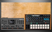 Thon Rack top