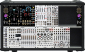 111 - winterbloom 94hp intellijel 001