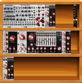 wnt