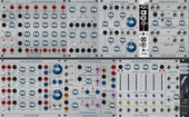 Buchla 2x84 (copy)