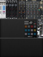 Live 2024 (copy)