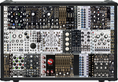 Pittsburgh Case (copy)