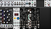 My dovelike Eurorack