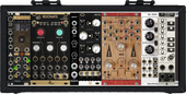 Dfam Case