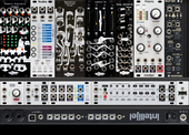 Basimilus TD3