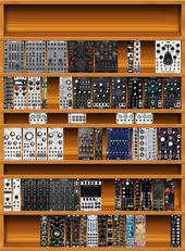 Custom Case Plan