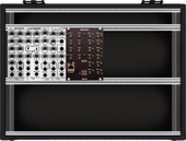 My bizarre Eurorack