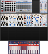 My unrubbed Buchla (copy)