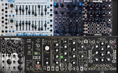 My canine Eurorack