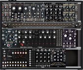 Shared System Case (copy)