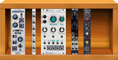 Mono Analog-Input Proportional PM