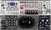 My parotid Eurorack