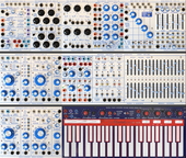 My sulcate Buchla