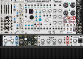 Sample loop case