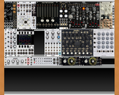 GOIKE + Intellijel (copy)