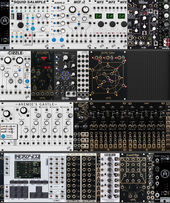 My unshaved Eurorack (actually have) (copy)