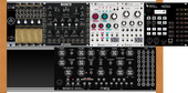 My duckbill Eurorack (copy)