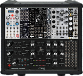 My triploid Eurorack (copy) (copy) (copy)