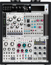 Eurorack-kufferten for fremtiden (Ectocore) (copy)