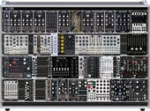 holundercv top1 (copy)