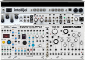 ALM (squid etc) (intellijel case) (copy)