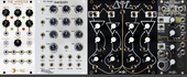 My rugose Eurorack