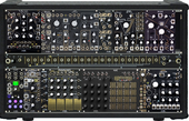 My Black &amp; Gold Shared System Plus (copy)