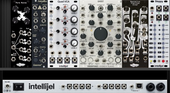 My rattish Eurorack