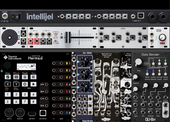 My antlike Eurorack