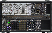 Makenoise Gold &amp; Black Shared System