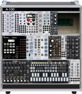 A-100 (copy)